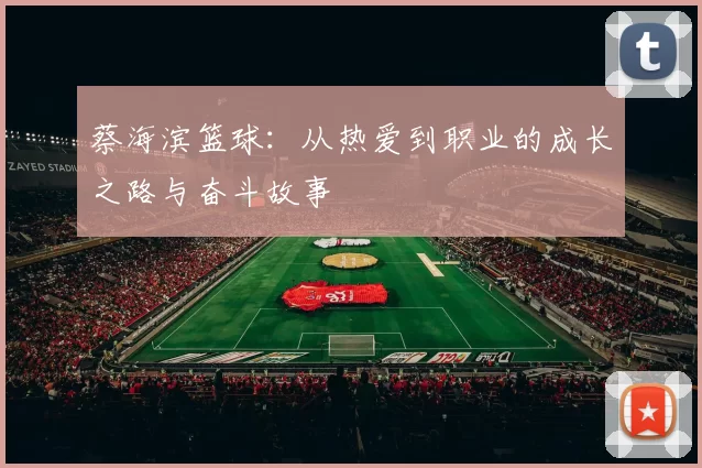 蔡海滨篮球：从热爱到职业的成长之路与奋斗故事