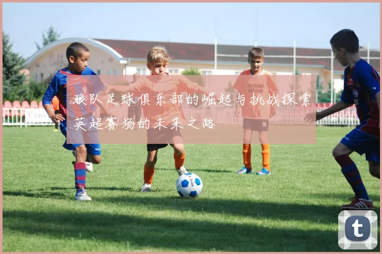 狼队足球俱乐部的崛起与挑战探索英超赛场的未来之路